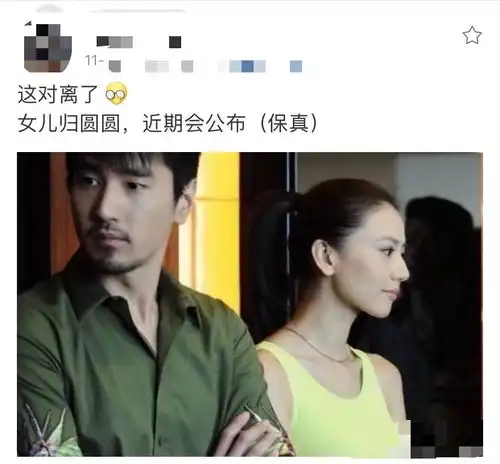 曝高圆圆赵又廷已经离婚,孩子归女方抚养赵爸聊儿子儿媳日常破谣言