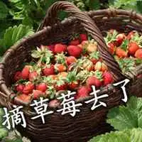 去摘草莓配图文字春天去摘草莓的配图微信头像图片大全