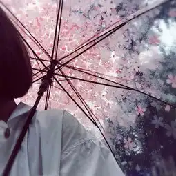 黑白