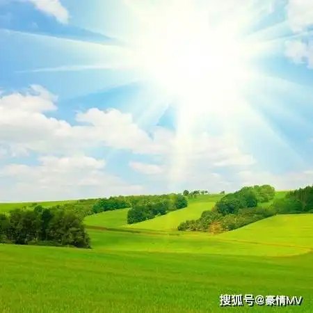 阳光明媚的风景图片素材好看唯美的阳光
