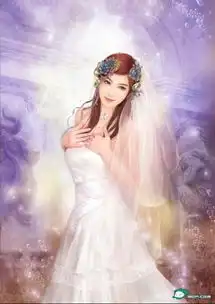 求360640手机壁纸