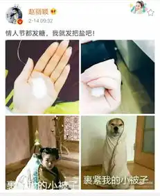 赵丽颖就是微博圈的女版邓超