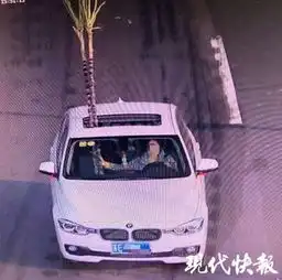qq福袋再骚扰就卸载你每日轻松一刻1月30日晚间版