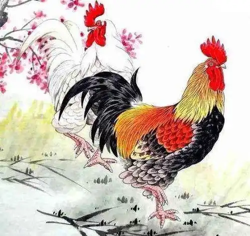 气质大方,有魅力的3生肖女,最有帮夫运,财气十足,兴家旺宅