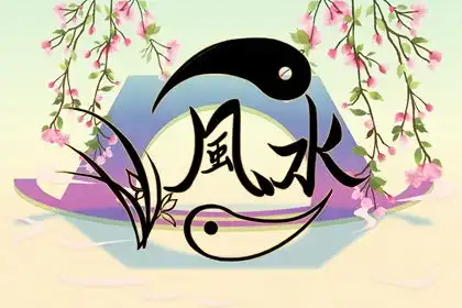 室内种什么植物风水好招财纳福运势兴