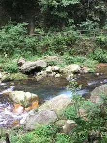 张家界旅游攻略,与美女相约张家界森林公园二