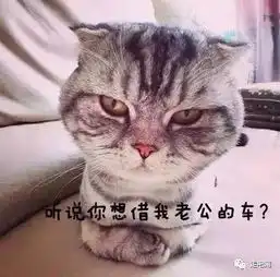 出去玩还要借朋友的车不好意思,要我答应除非你从我身上压过去
