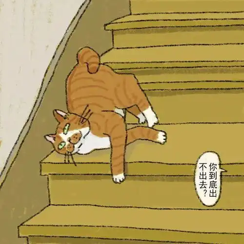 杏花微雨,可以带猫咪去踏青吗