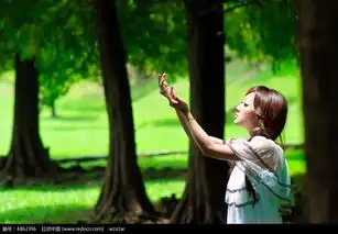 森林中接受阳光的美少女图片免费下载红动网