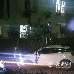 男子开车高校表白竟被保安带走引现场学生欢呼不已