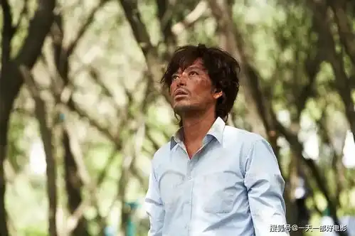 正常人基本不会喜欢的电影,每个人都是一座孤岛,金氏漂流记