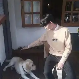 求这张的高清图片