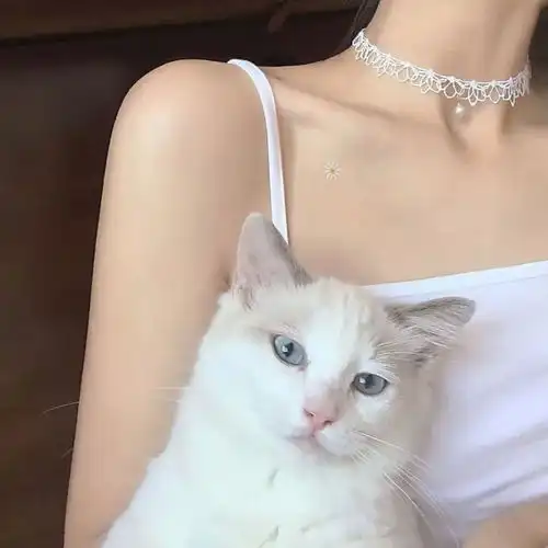 男生的哪句话可以做到全国统一