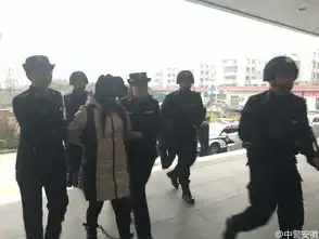 抓获抢走5岁女孩嫌犯面部被打马赛克
