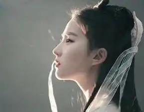 刘亦菲范冰冰赵丽颖娱乐圈这些女明星的侧颜杀让人心动