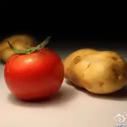 在线收听乐乐老师故事汇荔枝