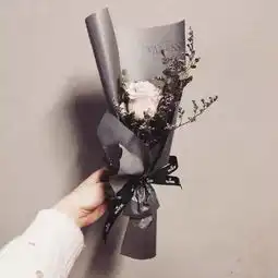 懂,是世界上最温情的语言