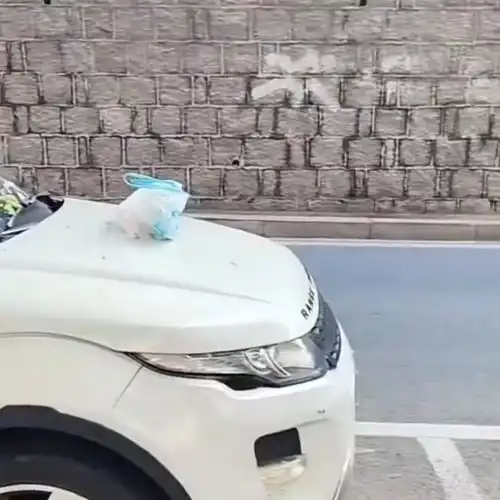青岛路虎女司机后续车辆被围观扔垃圾,网友举报驾驶人不系安全带