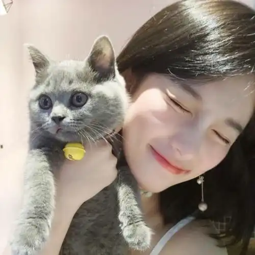 有没有女生抱猫的头像呀一定要无水印的那种噢