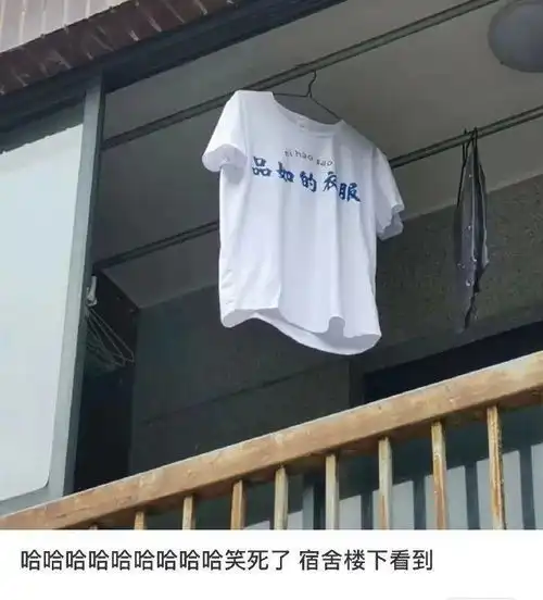 无意中看到了男朋友和闺蜜的对话,我才发现自己像个笑话......