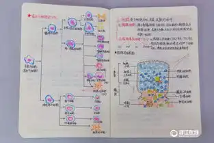 厉害了妹子杭州大二女生解剖学笔记惊艳走红