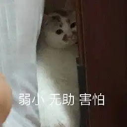 武汉美牙去哪武汉德韩牙科如何