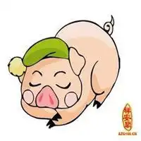属猪的用什么头像好微信头像图片大全