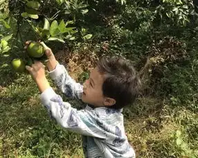 让大自然,来照顾我们的孩子吧