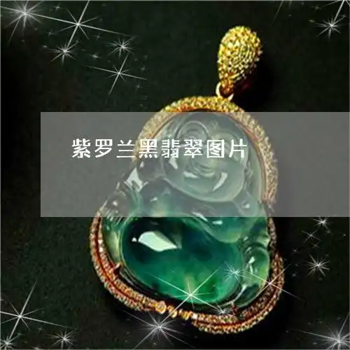 惊呆所有人紫罗兰黑翡翠图片紫罗兰翡翠好不好2023已更新推荐今日热点翡翠栏目
