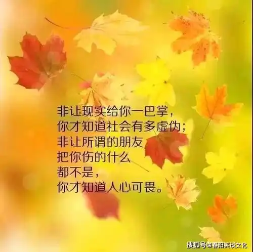治愈心灵的唯美句子,温暖贴心,积极阳光
