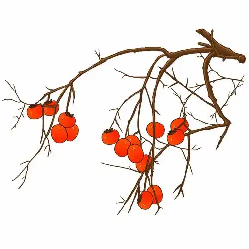 清华祝您教师节中秋节双节快乐