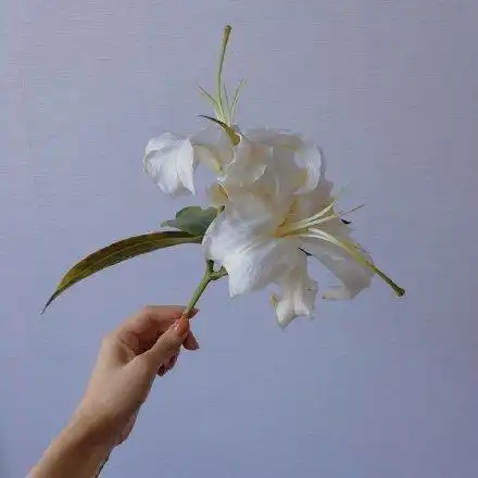 17岁那年,吻过他的脸,以为和他能永远