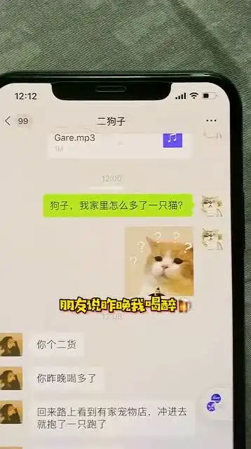 别人喝醉是抱美女,你为啥喝醉是抱猫的