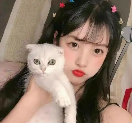 头像,抱猫女孩最温柔