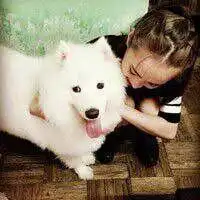 喜欢猫咪的女生qq头像