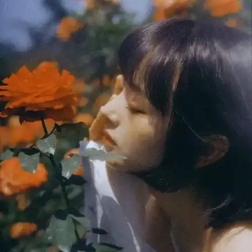 温柔告白的句子