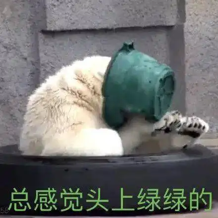 你算哪块小鱼干
