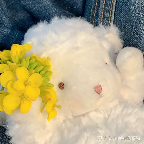 能分享一句温柔的文案吗