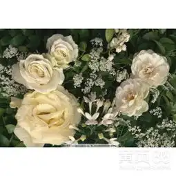 广州黄页88网