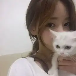 猫咪可爱萌头像2018最新漂亮女生怀抱萌猫头像大全