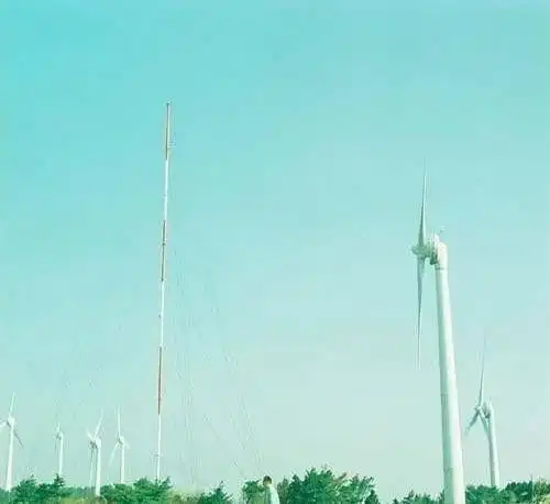 抖音很火的搞笑句子,句句搞笑又心酸,让人笑着流泪