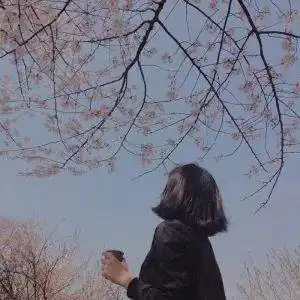 气质型31岁小姐姐