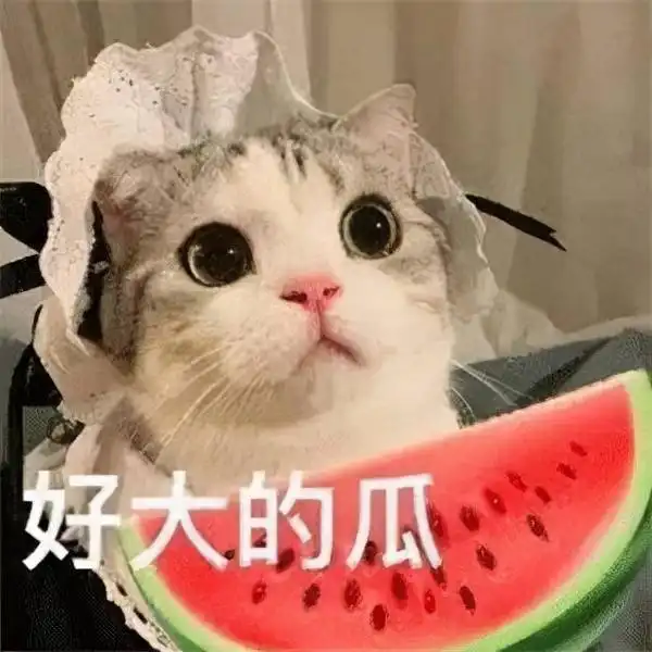 不出问题就等于省钱了7点避坑指南,第一次装修,心里得有个数