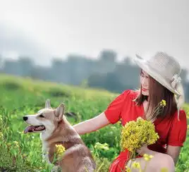 深圳6个春游的好地方,有一个你肯定没去过赏花种树烧烤拔萝卜捡鹅蛋