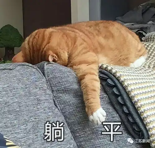 体感40风大雨急未来几天