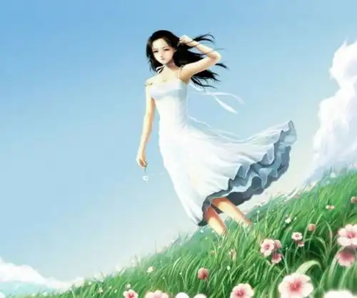 春夏秋冬作者自由行走的花