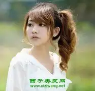 专题