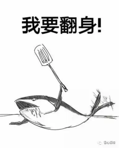 一个少女的咸鱼日记