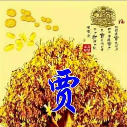 招财进宝先招才,财源广进宝才来,微信头像,姓氏手机壁纸送给你