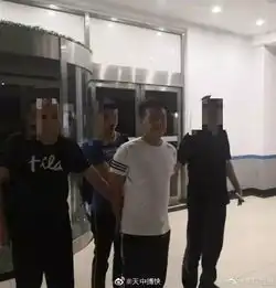 关注女子深夜遭殴打案施暴者被抓获当地妇联积极介入为受害人提供帮扶